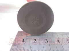 ������ �������� 1.6 (��) LF481Q1-1007012A 