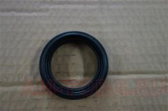 ������� ������� ����� (LF481Q1-2303323A) (��) LF481Q1-2303323A1 