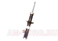 ����������� �������� (��) S21-2905010 