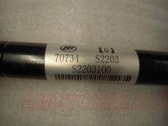 ������ ������ ����� (��) S2203100 