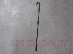 ��������� ��� (��) S3703212 