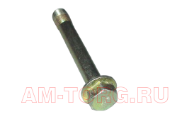 ���� ��������� (�������) (��) T11-3502031 